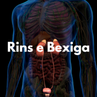 Rins e Bexiga