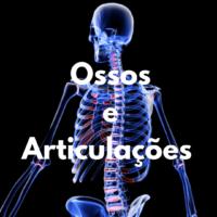 Ossos e Articulações