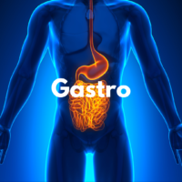 Gastro